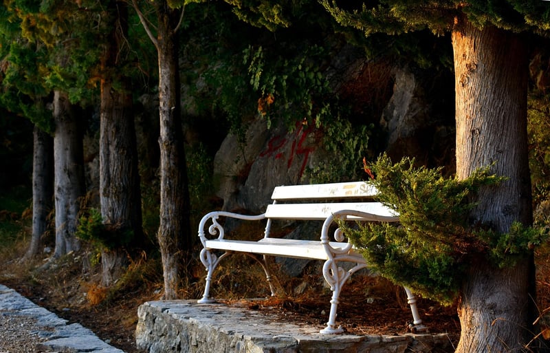 Enchanted Arbors